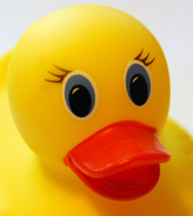 Not rubber ducks. Website conversions from a real duck site.